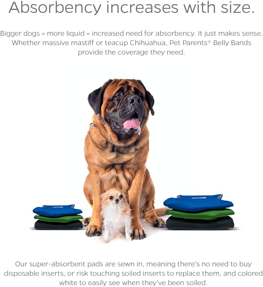 Washable Belly Bands for Dogs (3Pack) + Extendrs Durable Dog Diapers & Wraps (X-Small, Gentlemen)